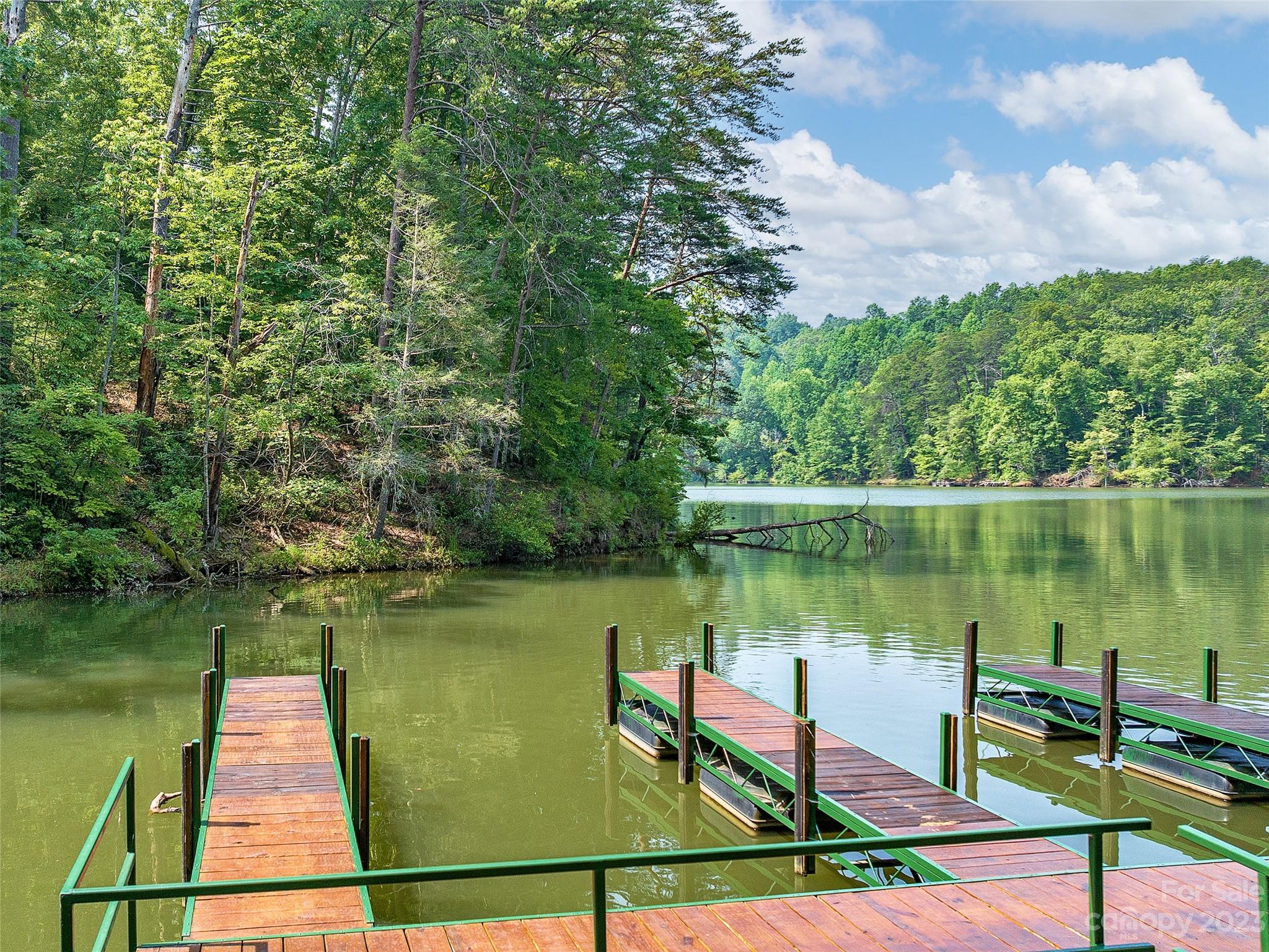 Lot # Huskey Pointe Mill Spring, Unit POINTE Mill Spring, NC 28756 - Photo 4 of 13 Gallery Image 4