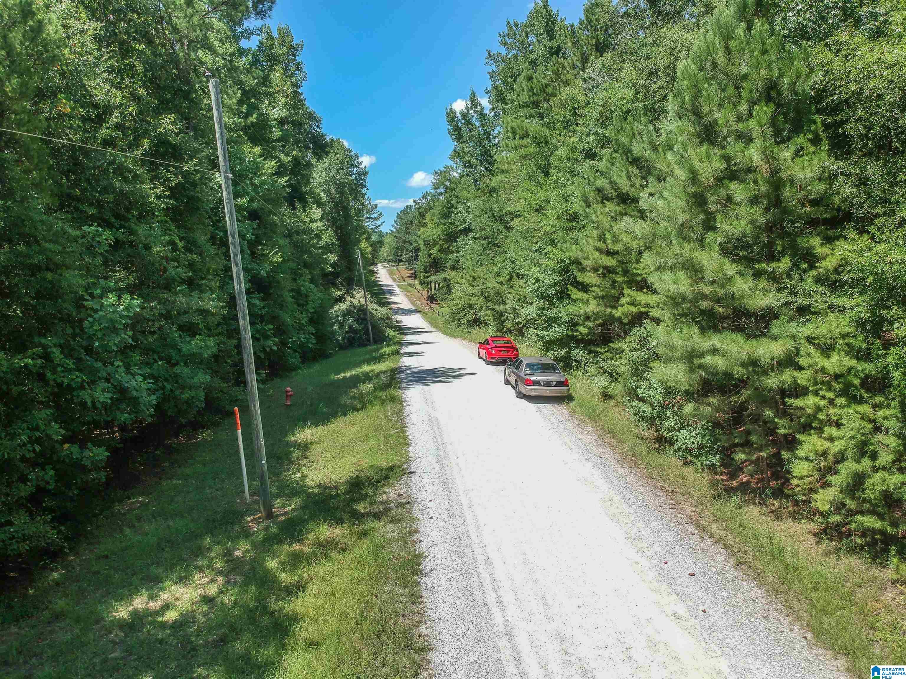 0 Upper Columbus Road Coker, AL 35452 - Photo 10 of 15