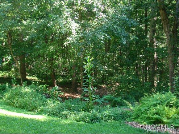 113 Joe Jenkins Road Fairview, NC 28730 - Photo 13 of 15 Gallery Image 13