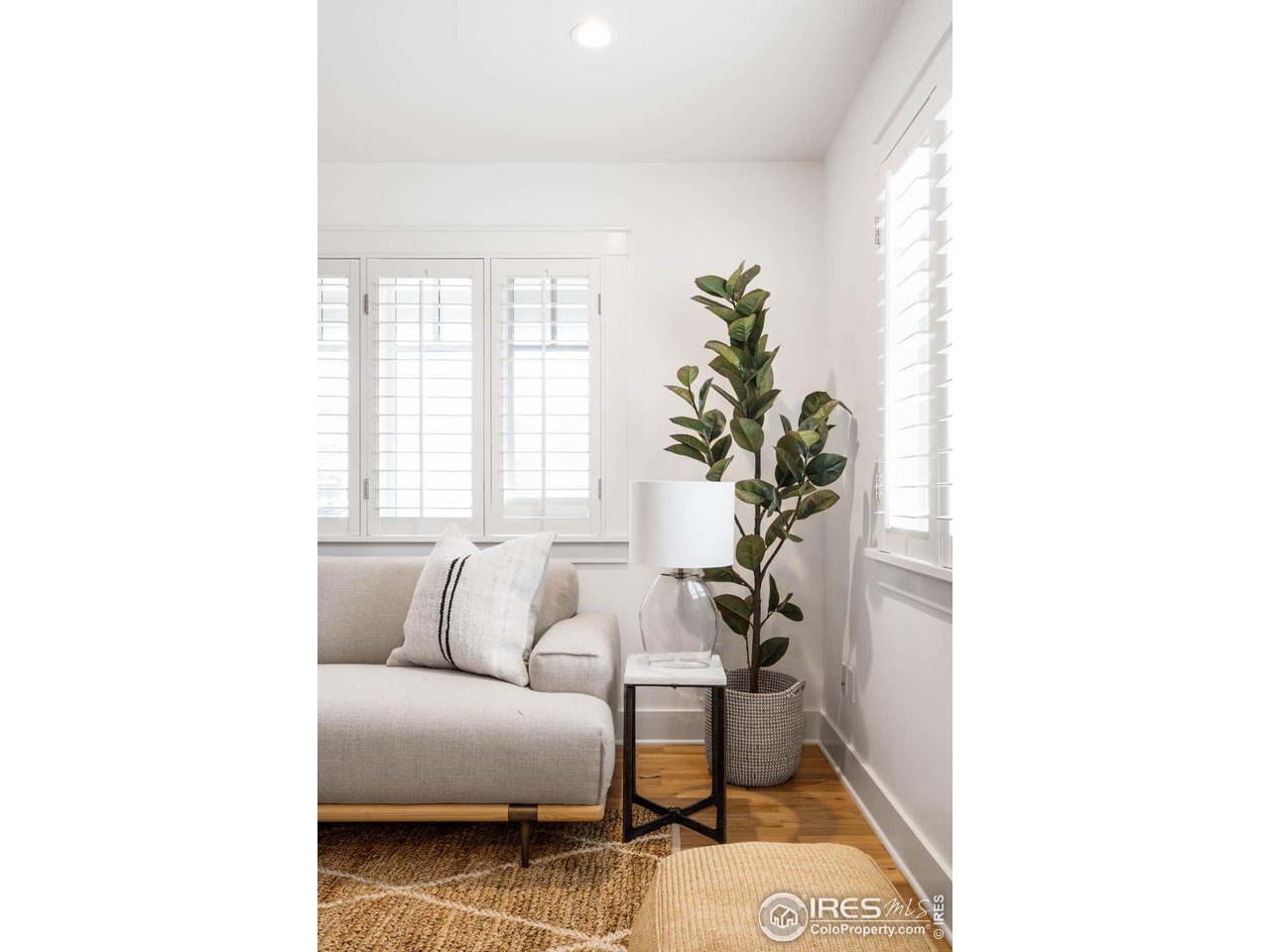 2543 Pine Street Boulder, CO 80302 - Photo 8 of 40 a living room with furniture and a potted plant