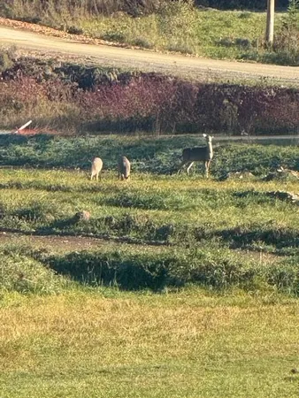 $399,900 | 56 South Road, Oakfield, ME 04763