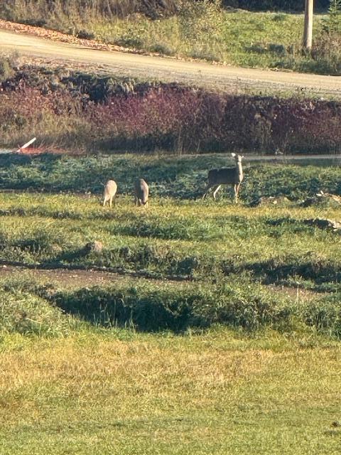 56 South Road Oakfield, ME 04763 - Photo 50 of 59 IMG_7209