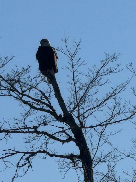56 South Road Oakfield, ME 04763 - Photo 51 of 59 IMG_8422