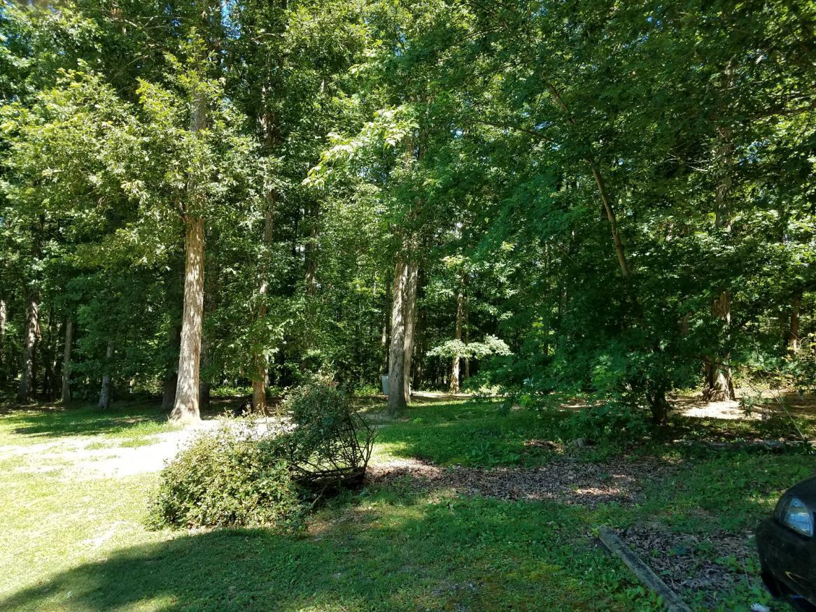 8019 Valley Road Nunnelly, TN 37137 - Photo 8 of 27 Gallery Image 8