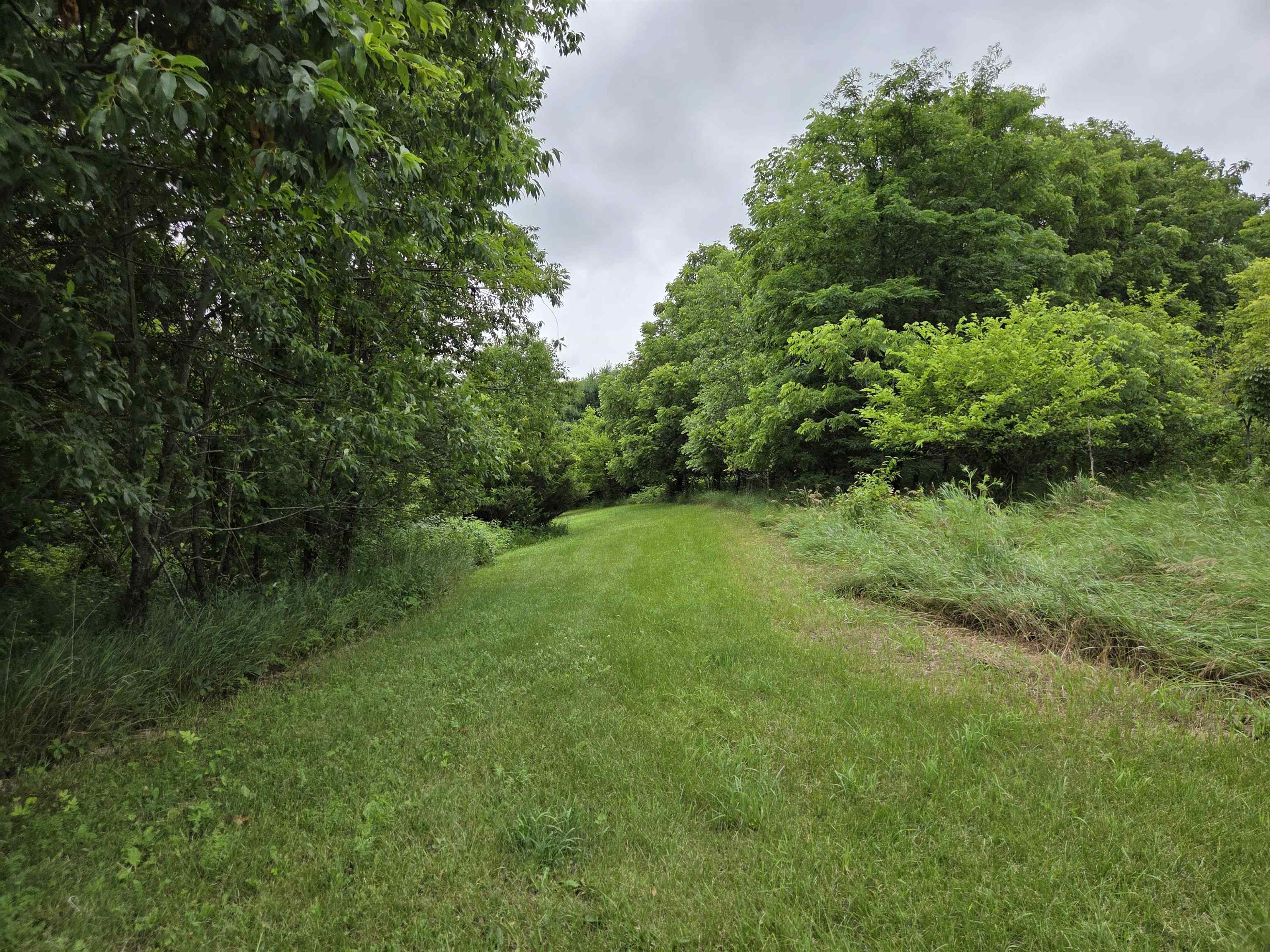 32747 State Highway Muscoda, WI 53573 - Photo 62 of 83