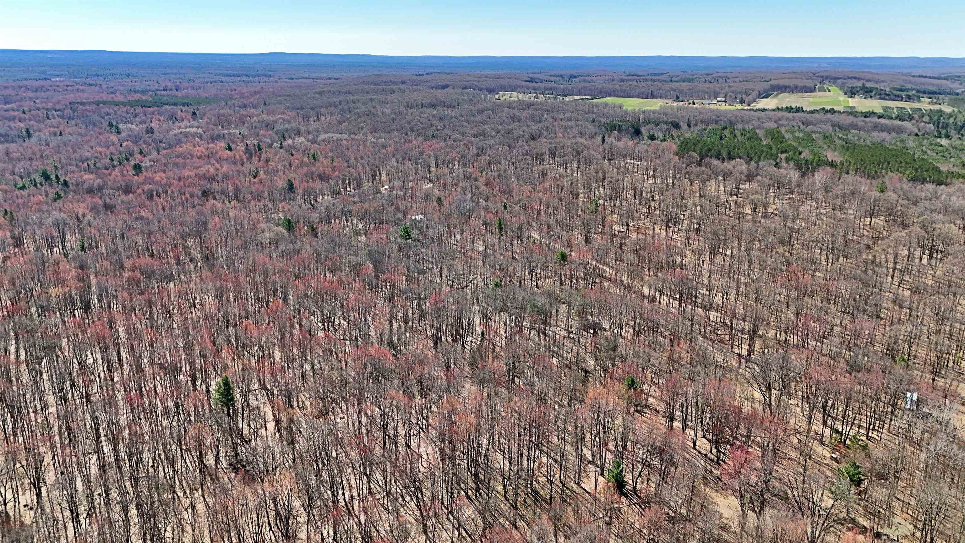 Vl 00 Cherry Hill Road Fife Lake, MI 49633 - Photo 11 of 21