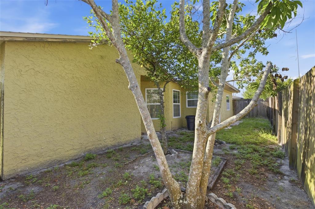 5019 Larch Lane New Port Richey, FL 34653 - Photo 27 of 33
