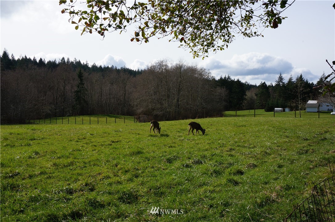 9108 Johnson Road Anderson Island, WA 98303 - Photo 24 of 34