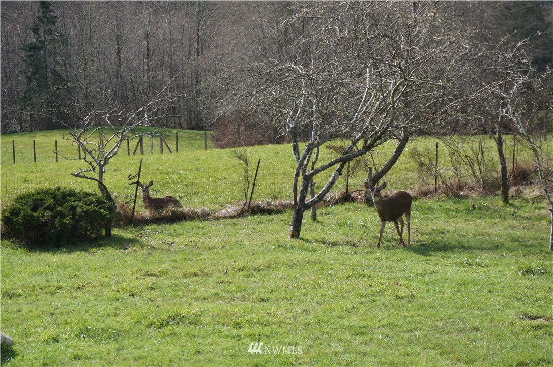 9108 Johnson Road Anderson Island, WA 98303 - Photo 27 of 34