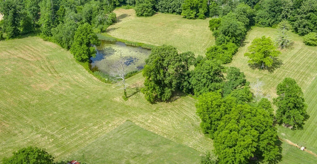 2390 Bowser Road Cookeville, TN 38506 - Photo 3 of 11 a view of a yard
