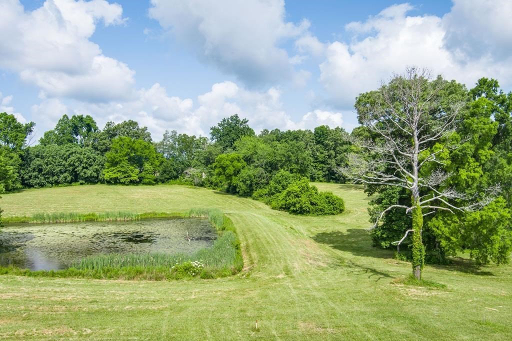2390 Bowser Road Cookeville, TN 38506 - Photo 5 of 11 a view of a garden with a building