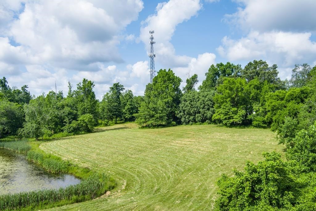 2390 Bowser Road Cookeville, TN 38506 - Photo 6 of 11 a view of a big yard with lots of green space