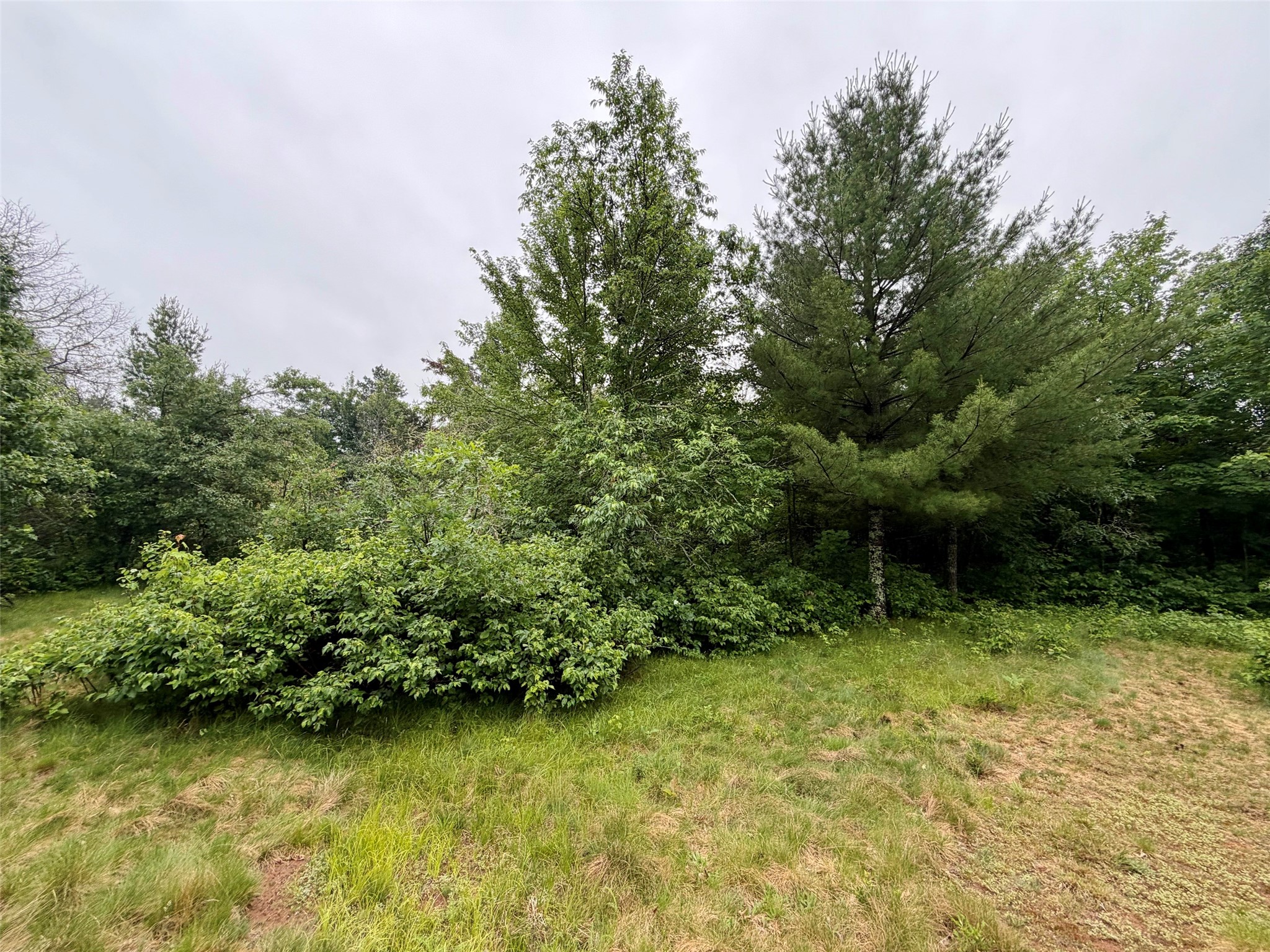 7113 East Fire Hill Road Gordon, WI 54838 - Photo 7 of 17