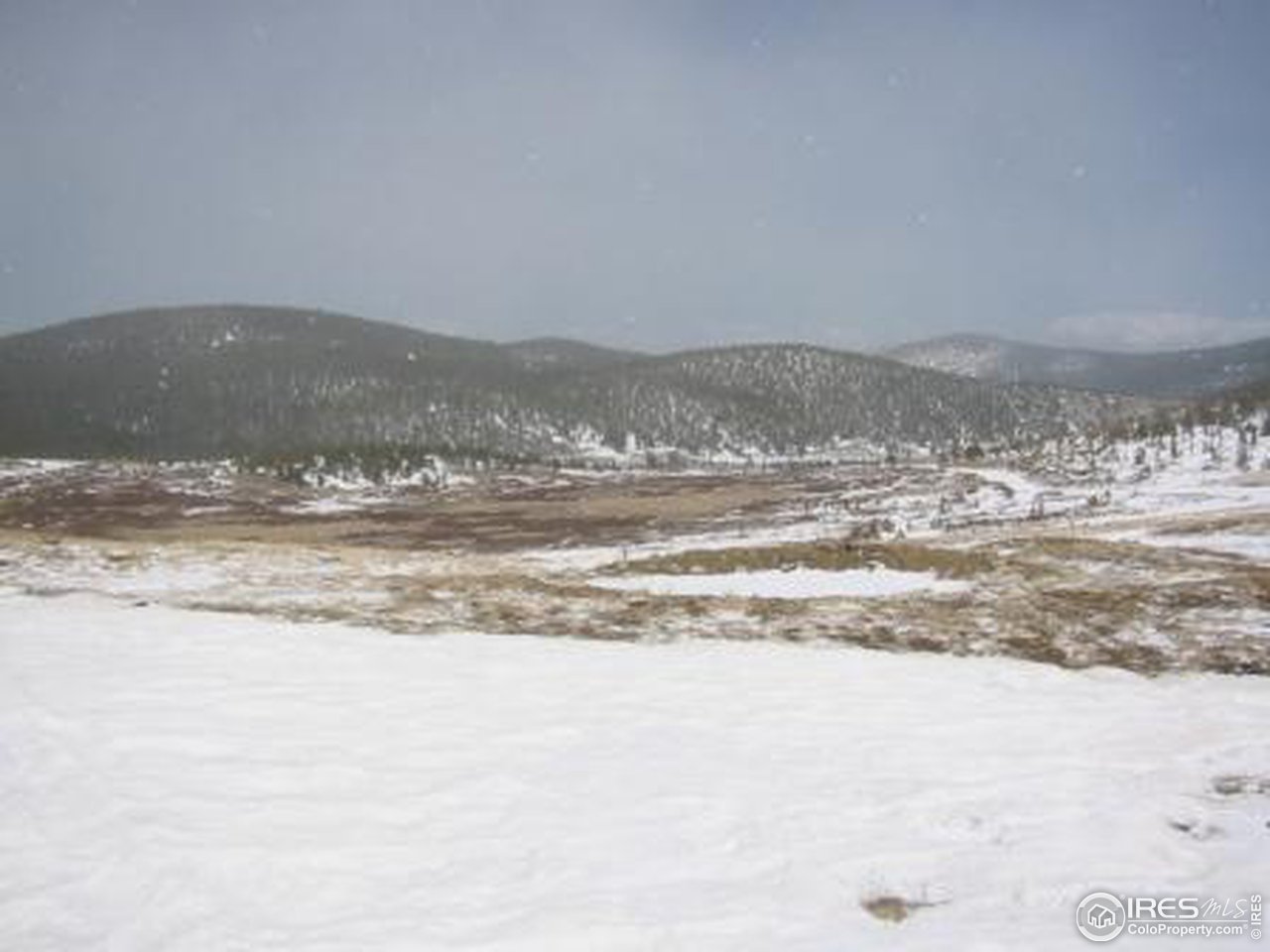 Mammoth Gulch Road Idaho Springs, CO 80452 - Photo 11 of 11 Gallery Image 11