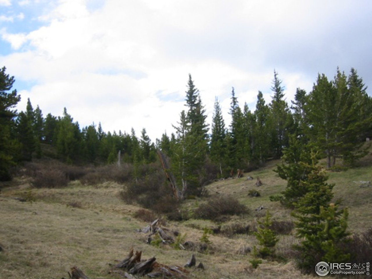 Mammoth Gulch Road Idaho Springs, CO 80452 - Photo 3 of 11 Deer Creek Spring