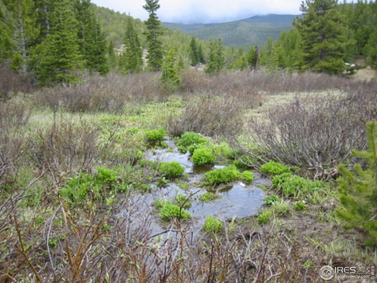 Mammoth Gulch Road Idaho Springs, CO 80452 - Photo 4 of 11 Deer Creek Headwater