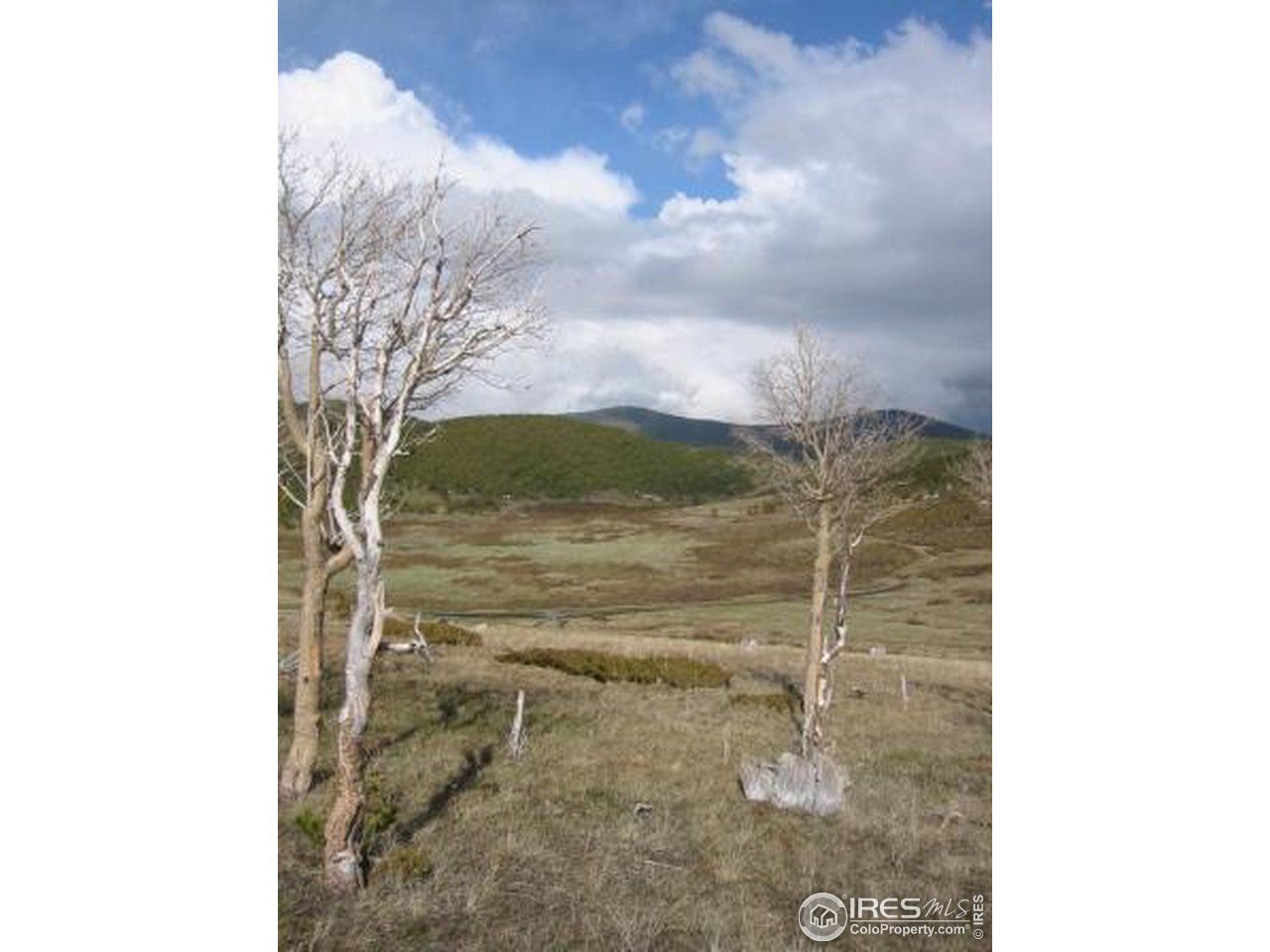 Mammoth Gulch Road Idaho Springs, CO 80452 - Photo 5 of 11 View East