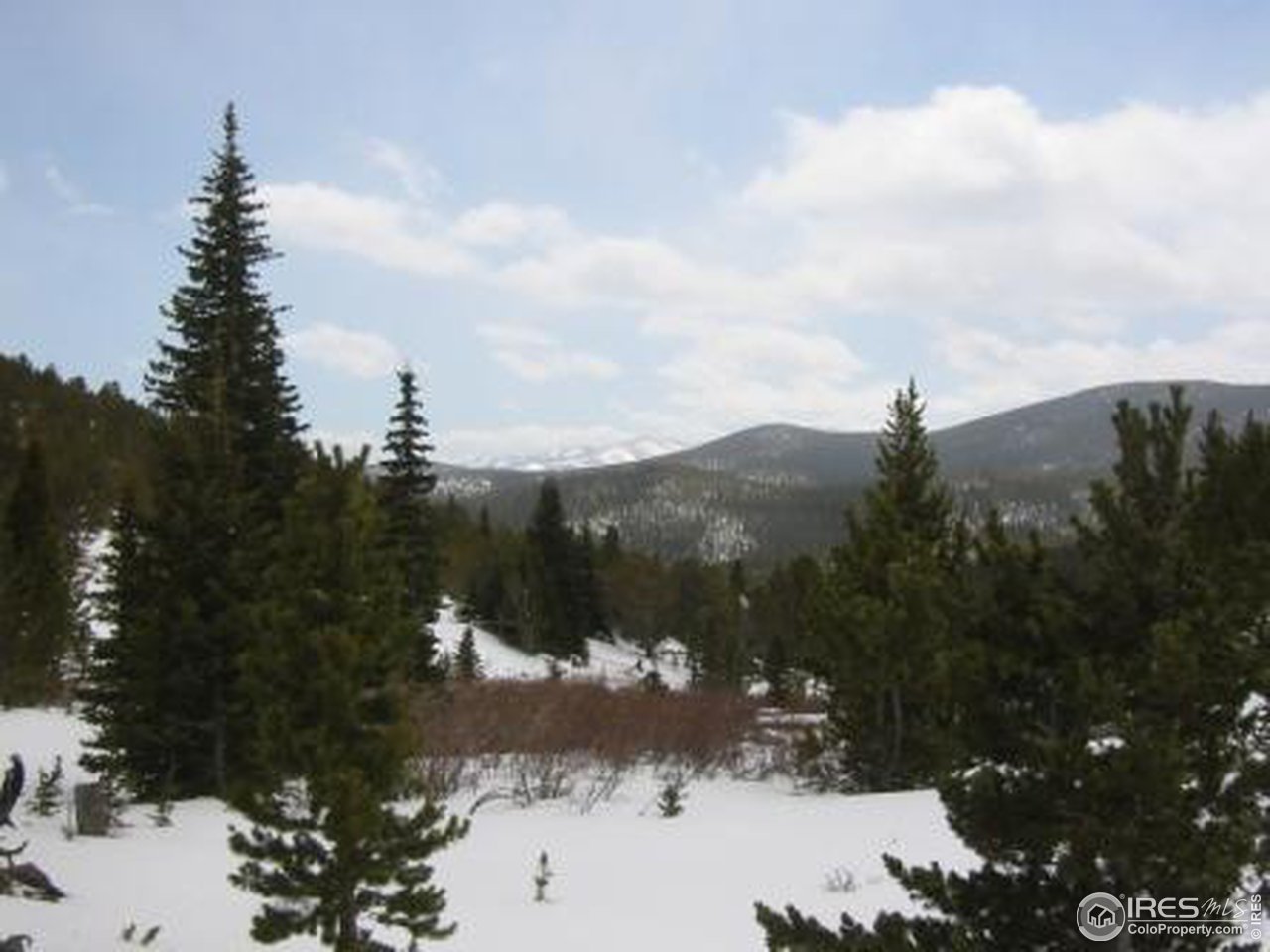 Mammoth Gulch Road Idaho Springs, CO 80452 - Photo 6 of 11 Gallery Image 6