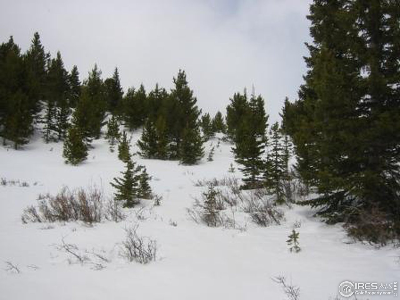 Mammoth Gulch Road Idaho Springs, CO 80452 - Photo 10 of 11 Gallery Image 10