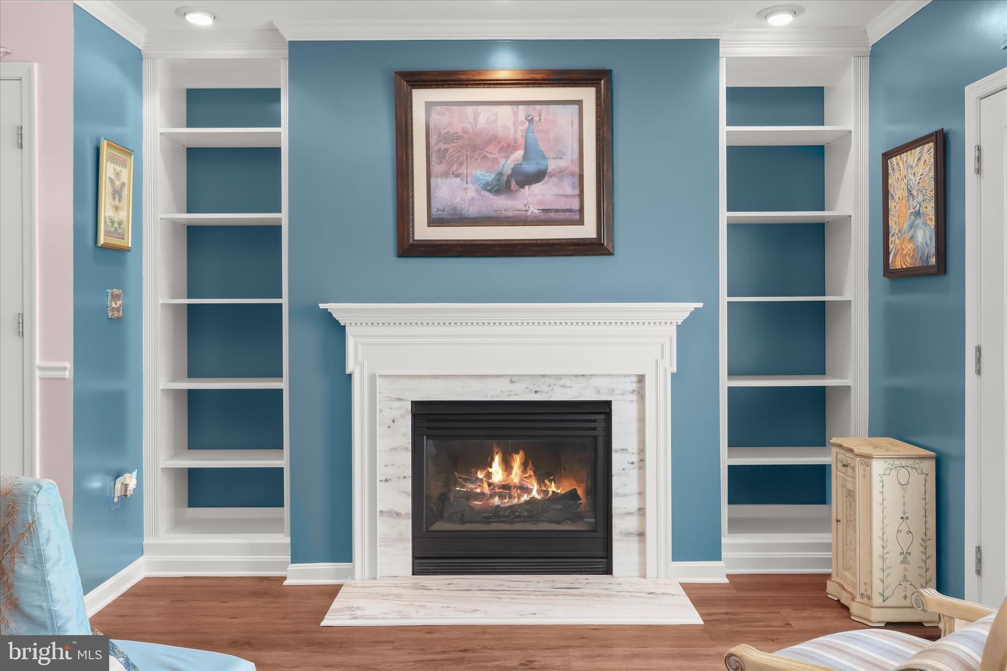 7105 Natures Road Columbia, MD 21046 - Photo 16 of 69 Gas Fireplace