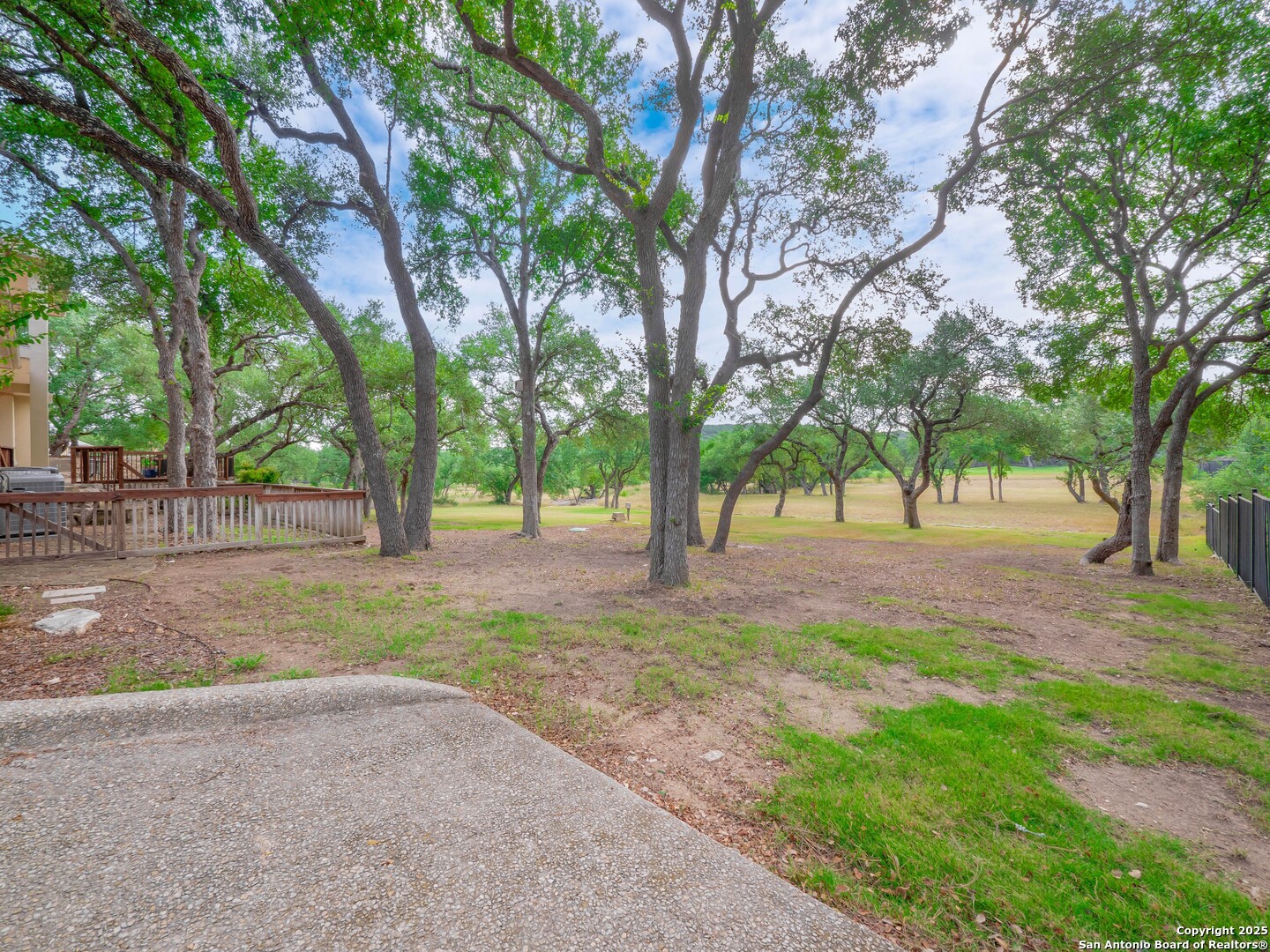 429 Fossil Hills Loop Spring Branch, TX 78070 - Photo 51 of 64 a view of a tree in the middle of a yard