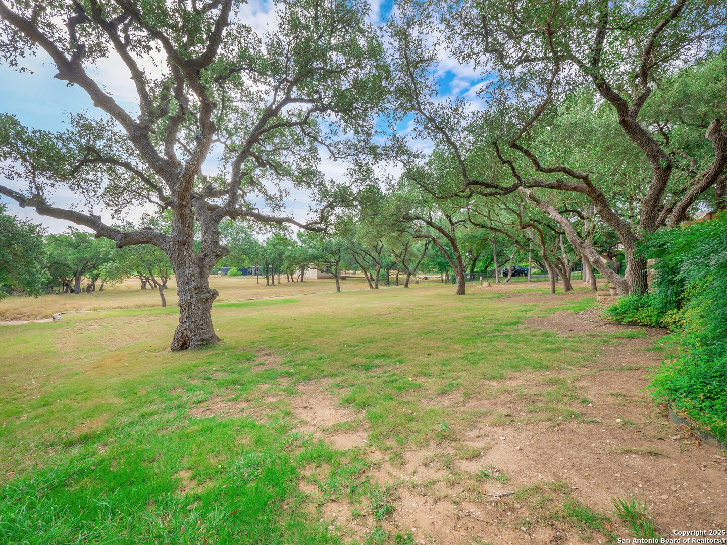 429 Fossil Hills Loop Spring Branch, TX 78070 - Photo 52 of 64