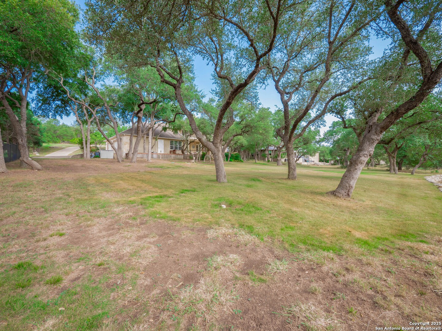 429 Fossil Hills Loop Spring Branch, TX 78070 - Photo 53 of 64 a view of yard with tree and trees