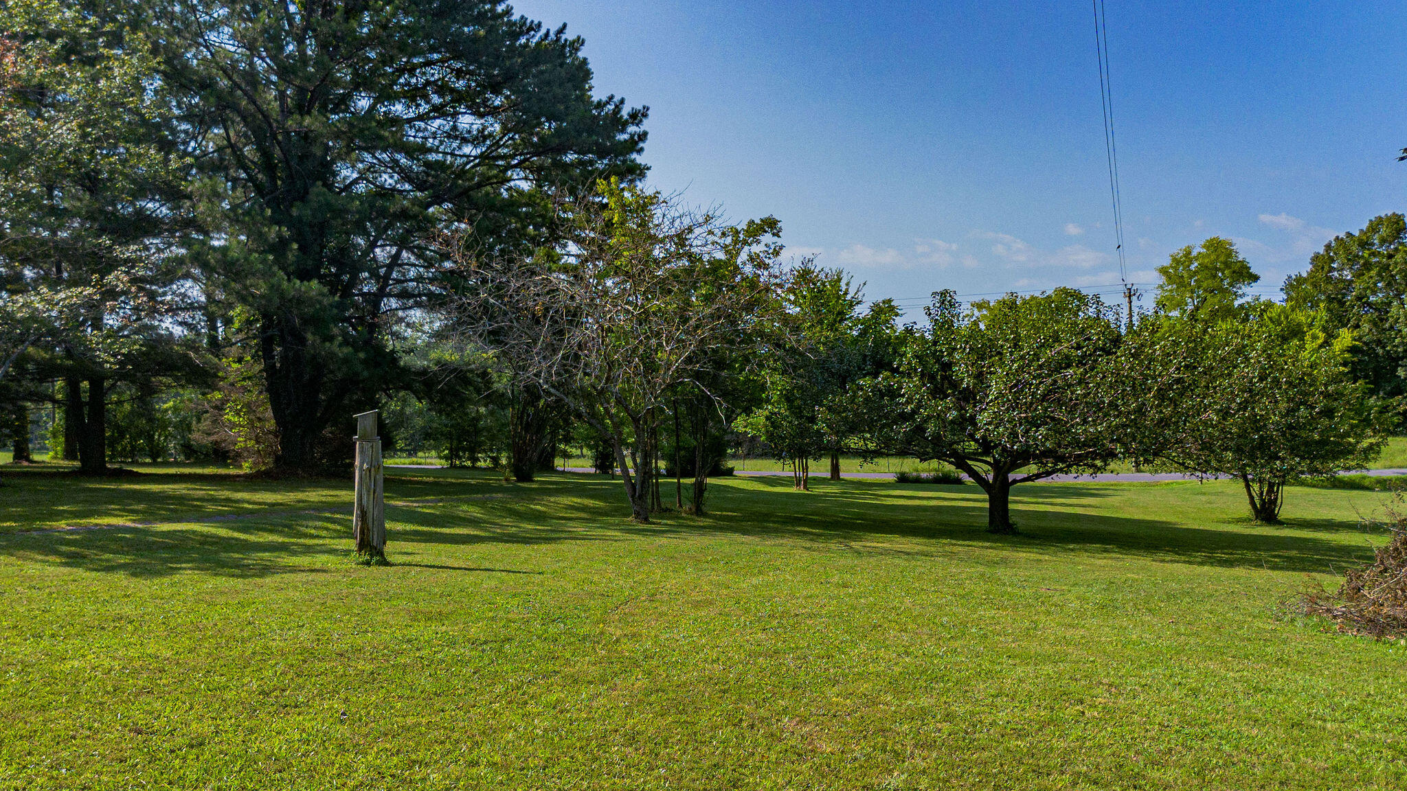 687 Reed Road Benton, KY 42025 - Photo 23 of 28 23
