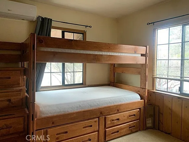 a view of a backyard with plants and large trees