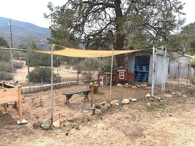 a view of a yard with plants