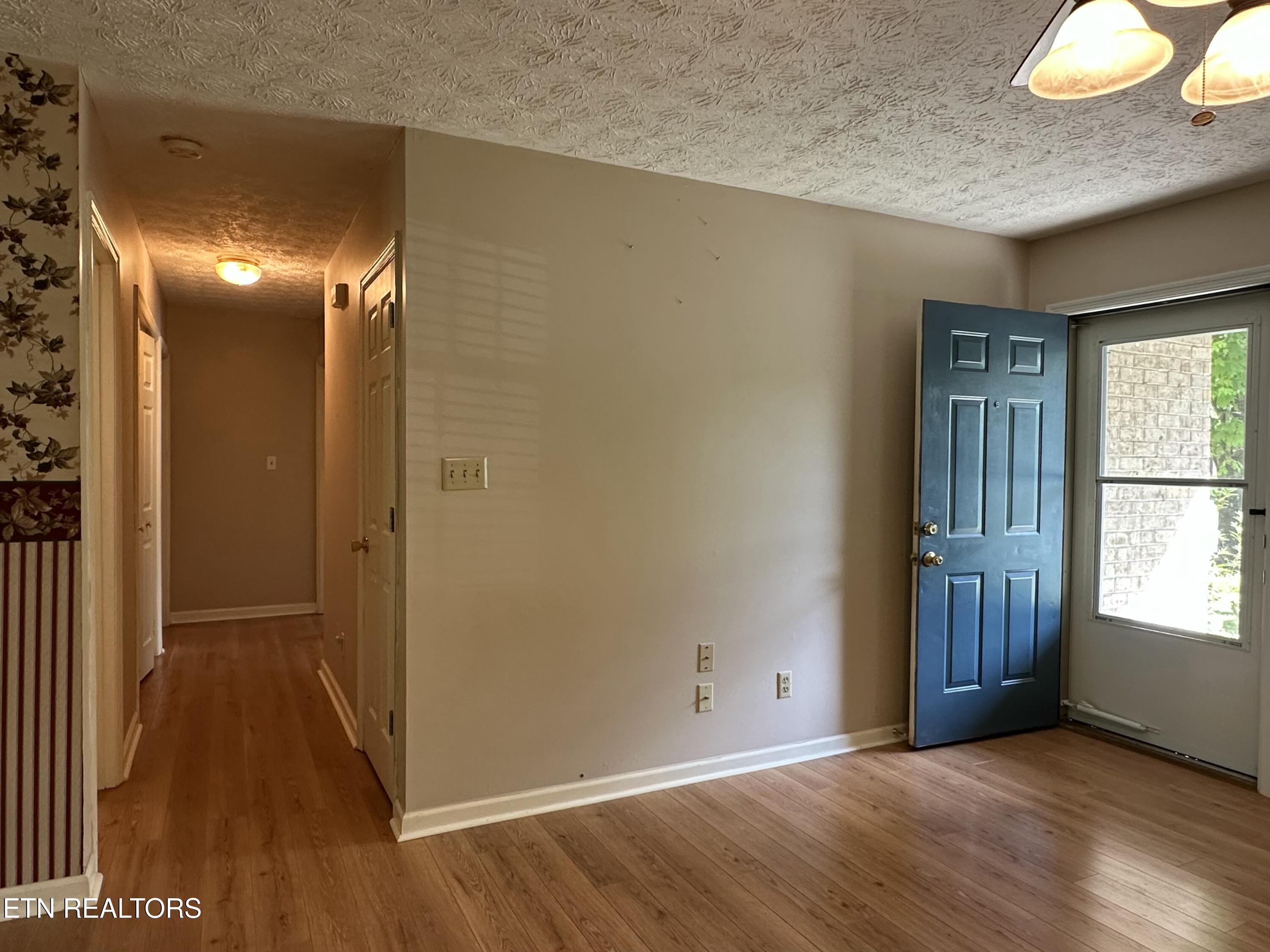 7021 Pisa Circle Corryton, TN 37721 - Photo 13 of 32 Hallway 01