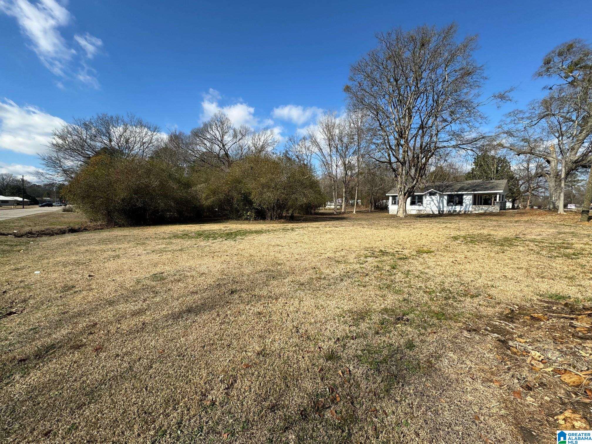 2050 16th Street Calera, AL 35040 - Photo 21 of 23