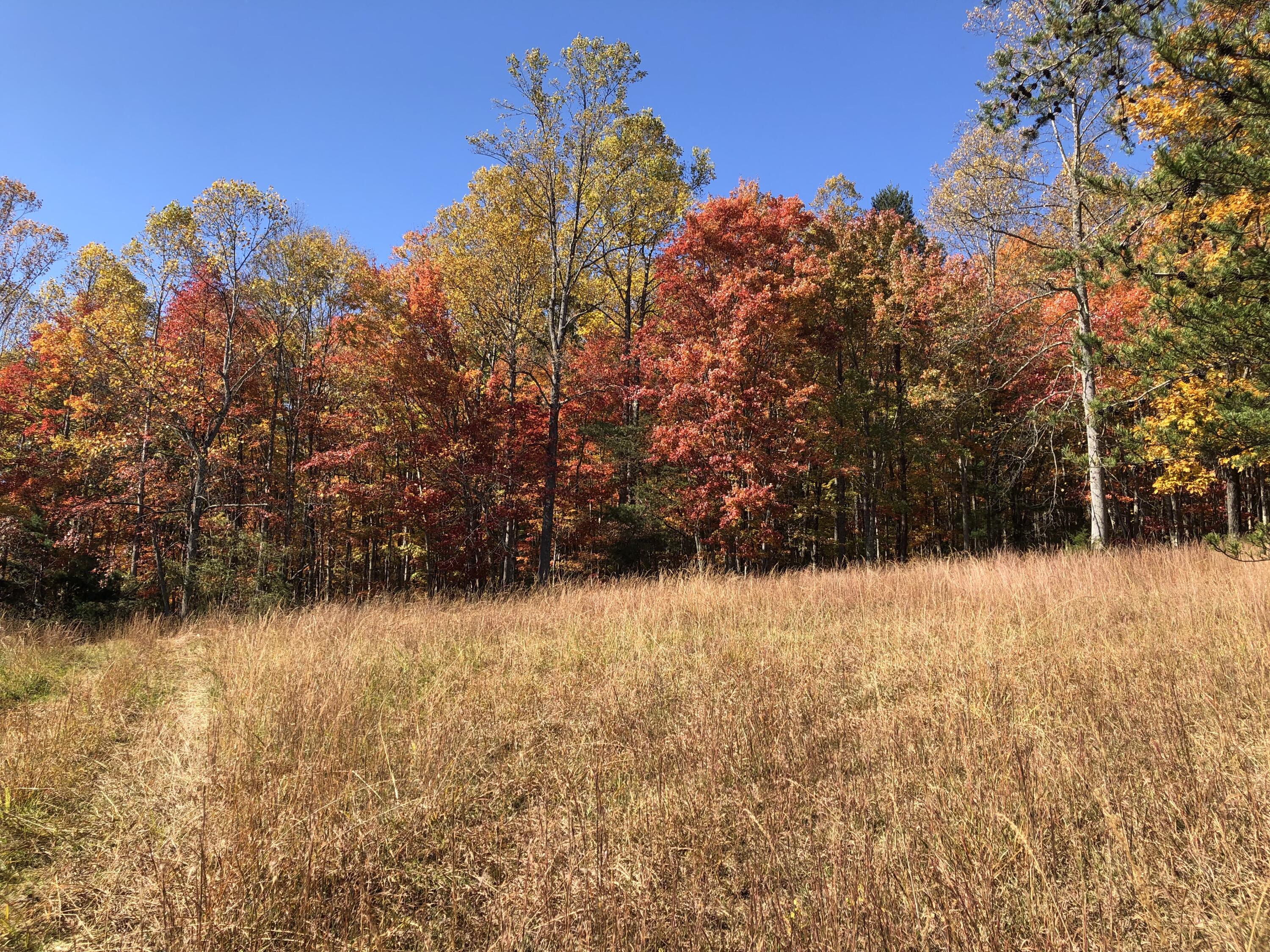 906 Wolfe Road Covington, VA 24426 - Photo 12 of 50