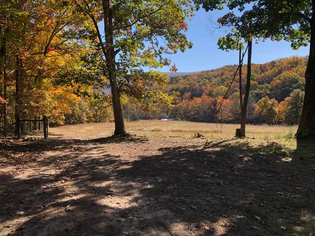a backyard of a house