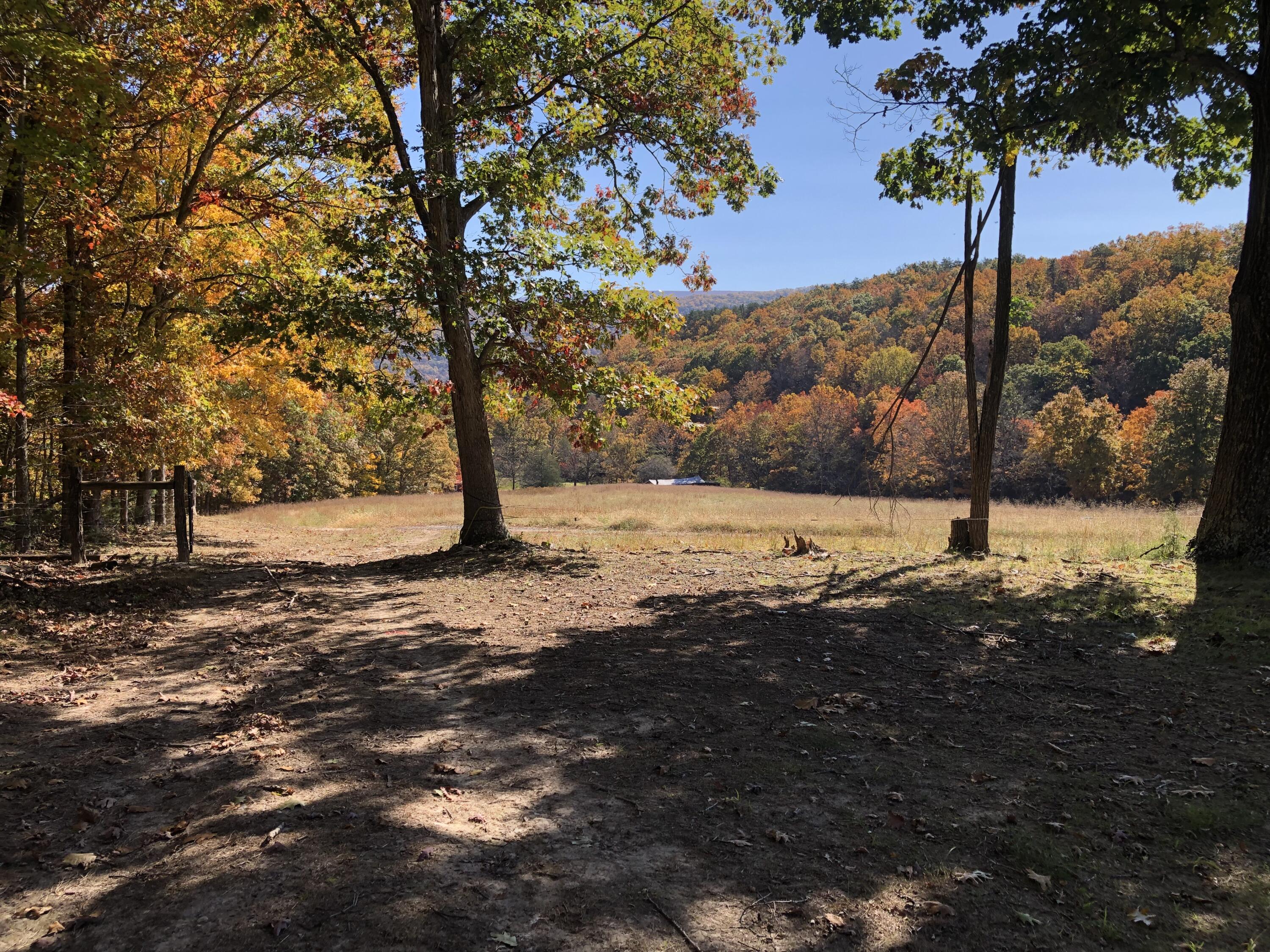 906 Wolfe Road Covington, VA 24426 - Photo 13 of 50 a view of yard with tree