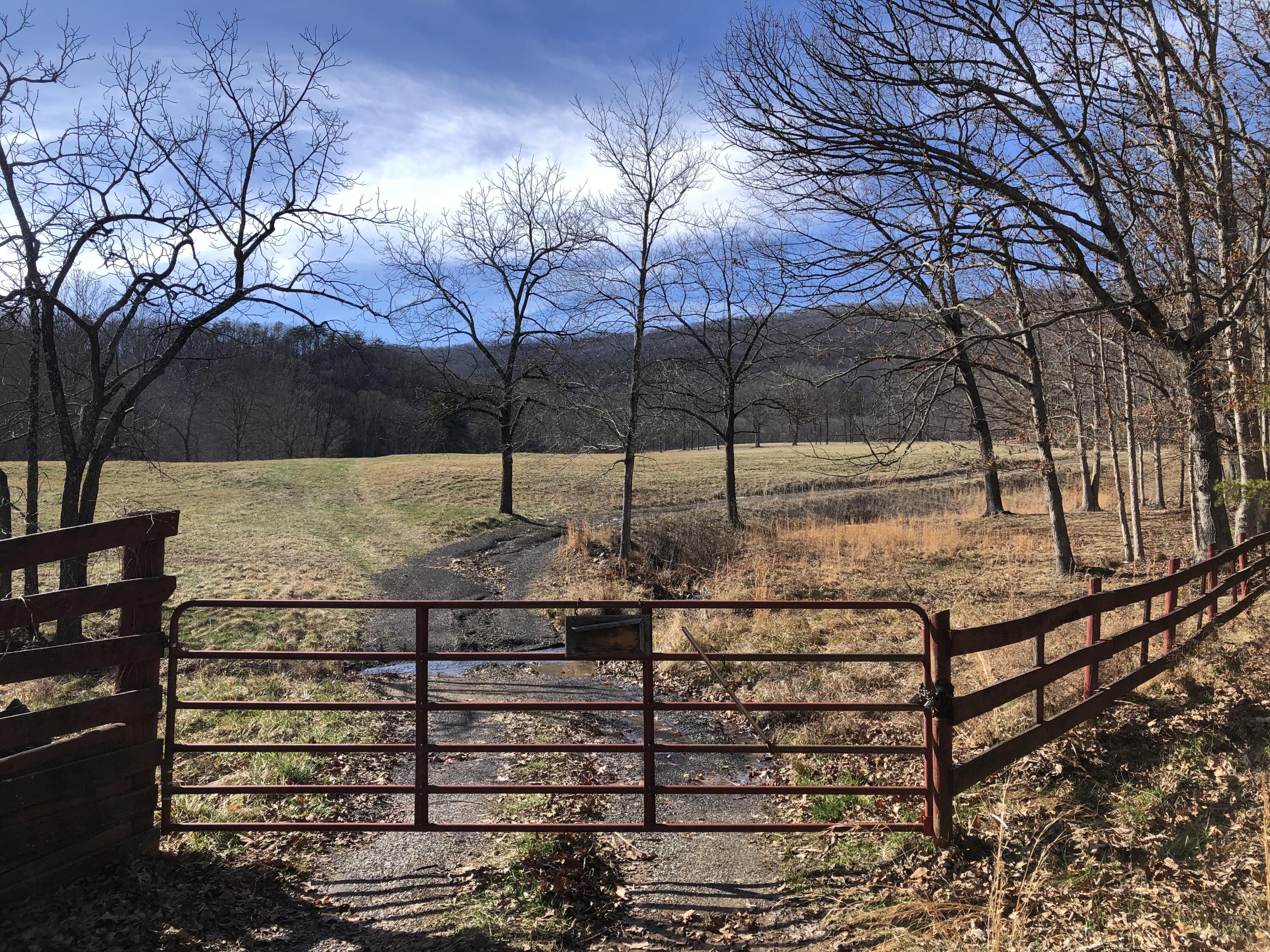 906 Wolfe Road Covington, VA 24426 - Photo 14 of 50 a view of a backyard