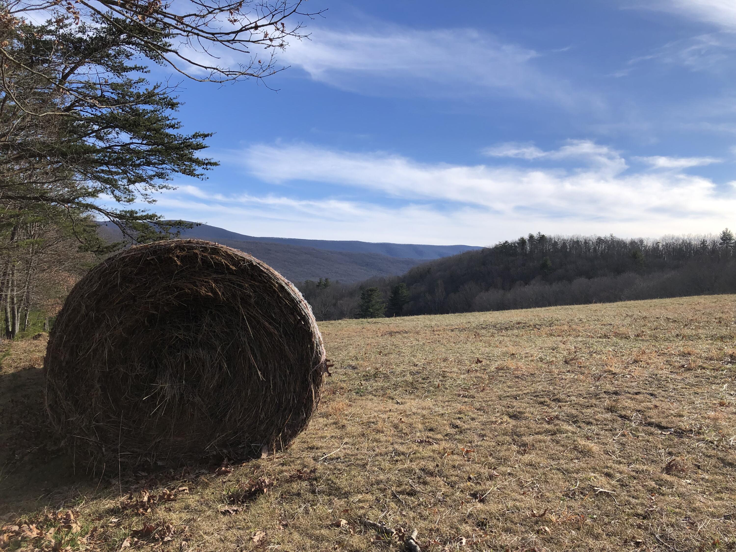906 Wolfe Road Covington, VA 24426 - Photo 15 of 50 a view of lake view and mountain view