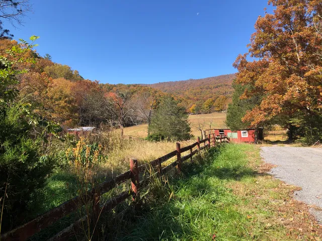 a view of a yard with wooden fence