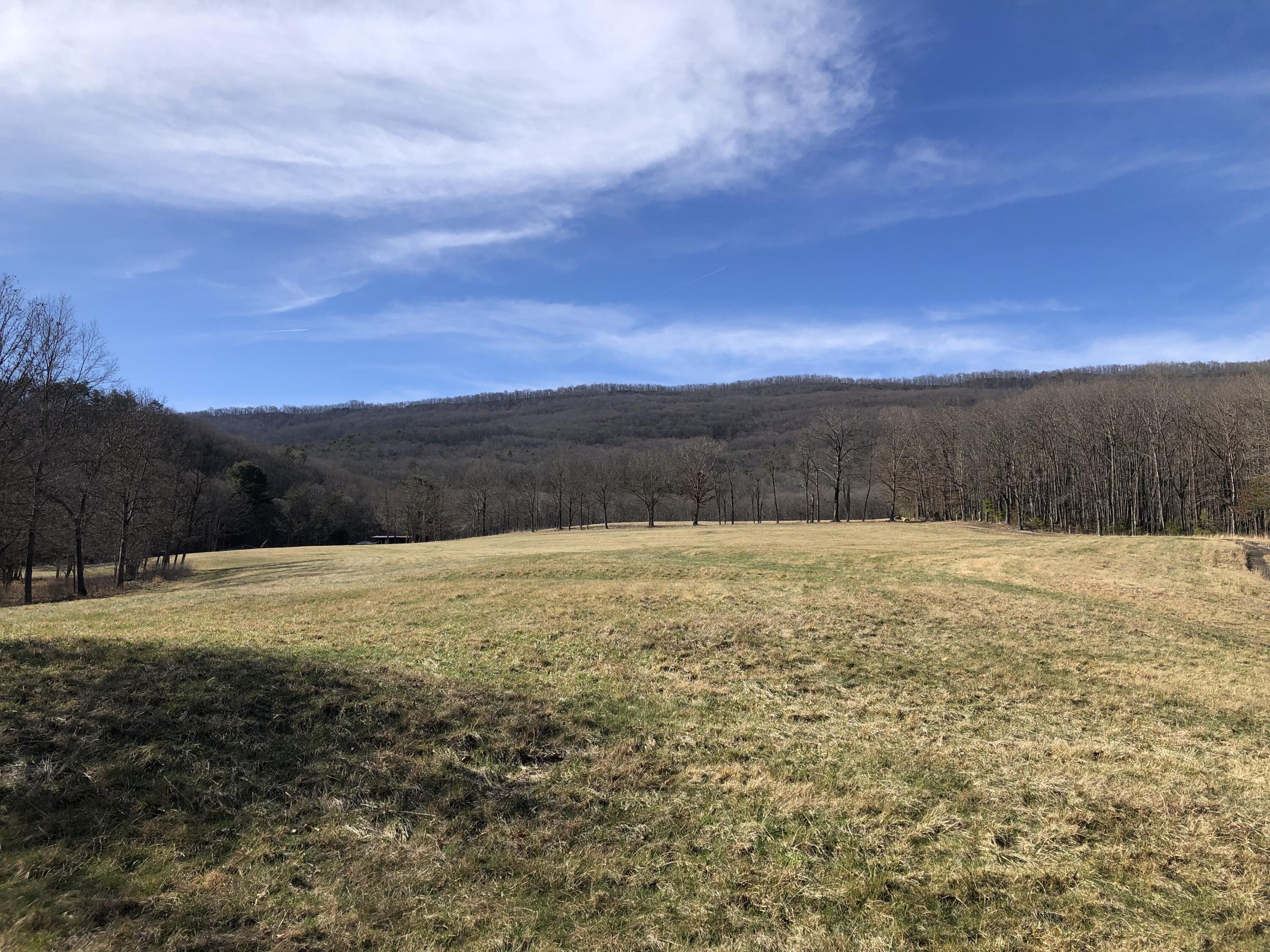 906 Wolfe Road Covington, VA 24426 - Photo 18 of 50 a view of lake and mountain