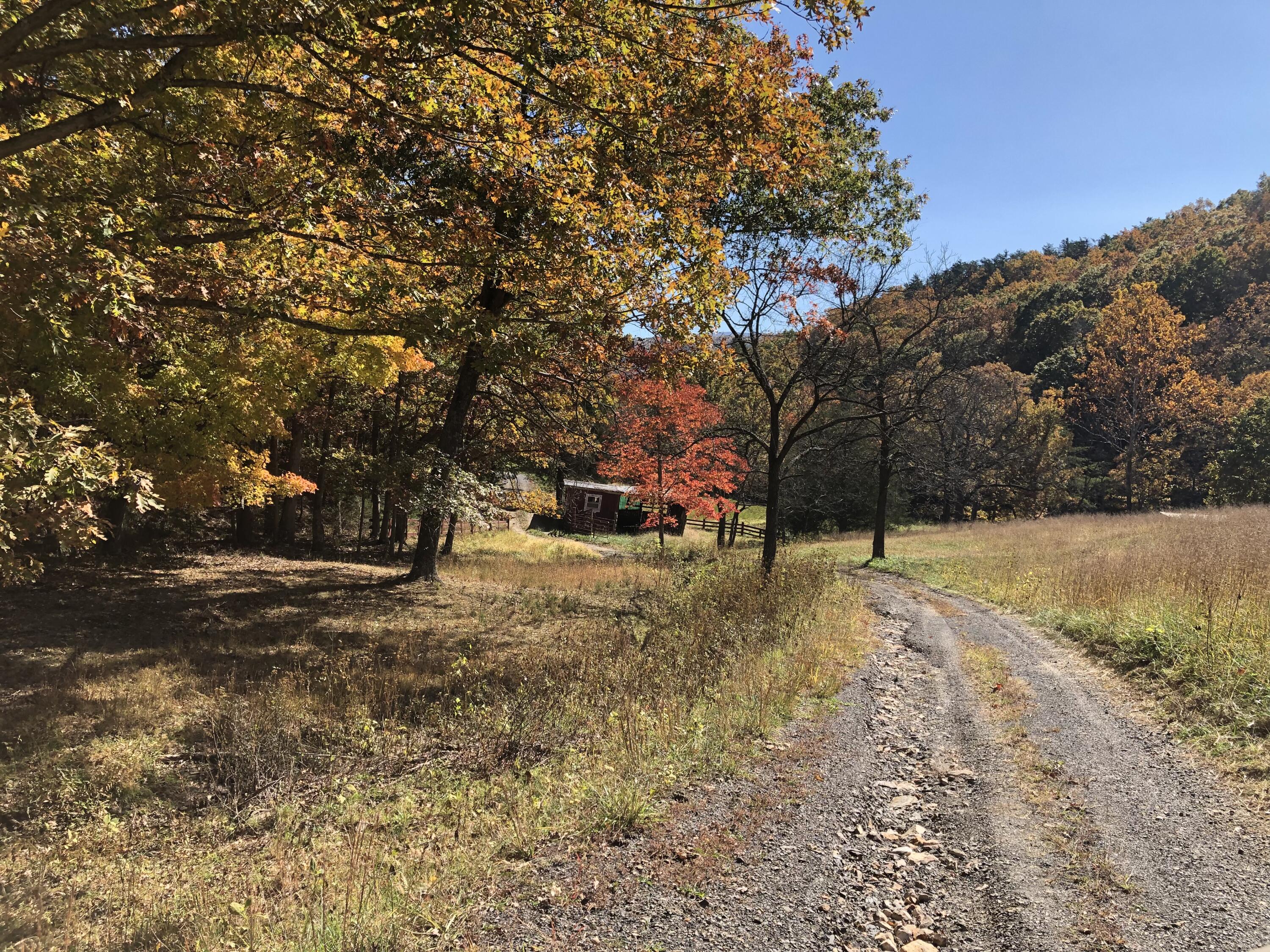 906 Wolfe Road Covington, VA 24426 - Photo 2 of 50 a view of dirt yard with a tree