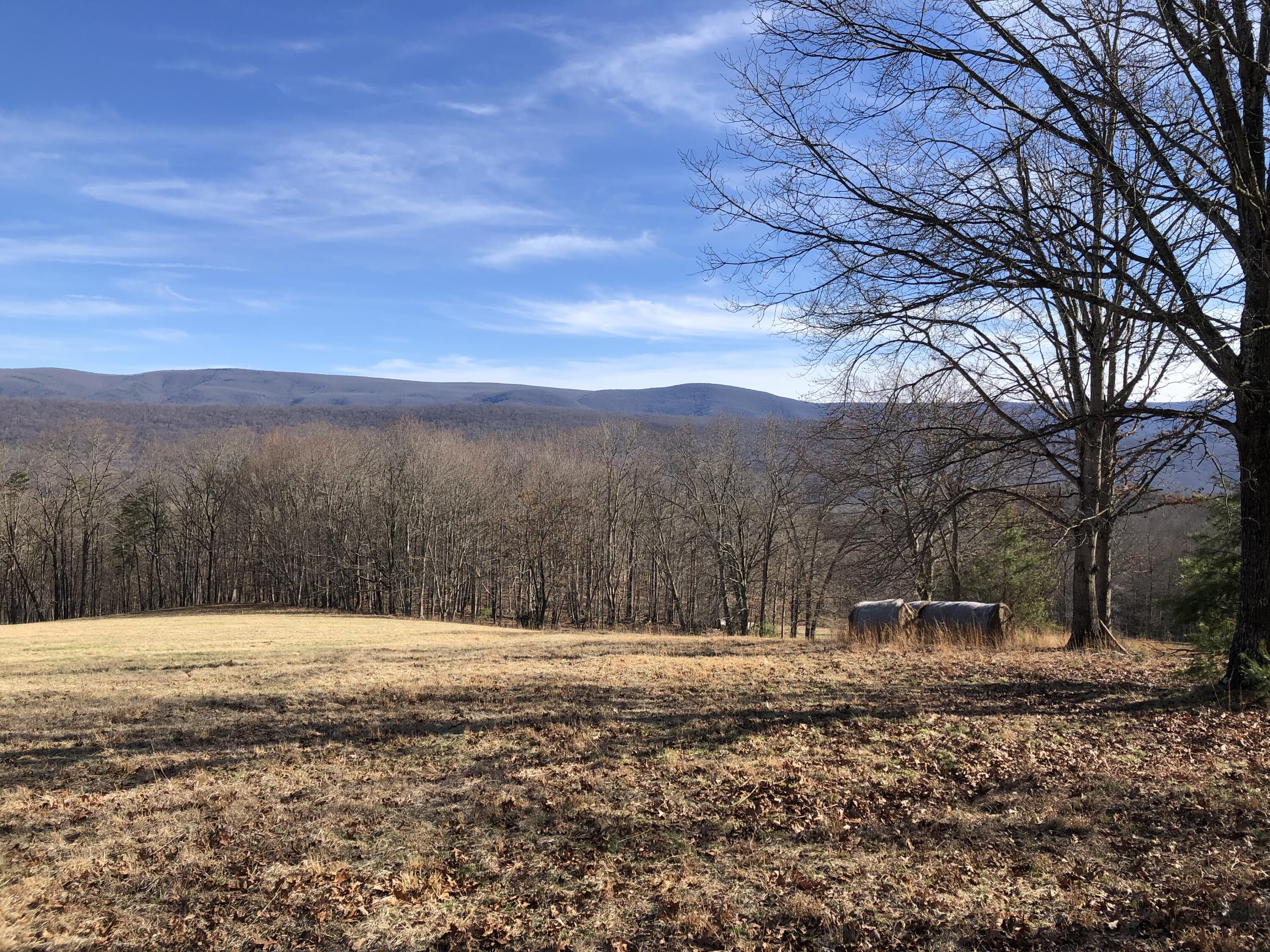 906 Wolfe Road Covington, VA 24426 - Photo 21 of 50 a view of side covered with snow