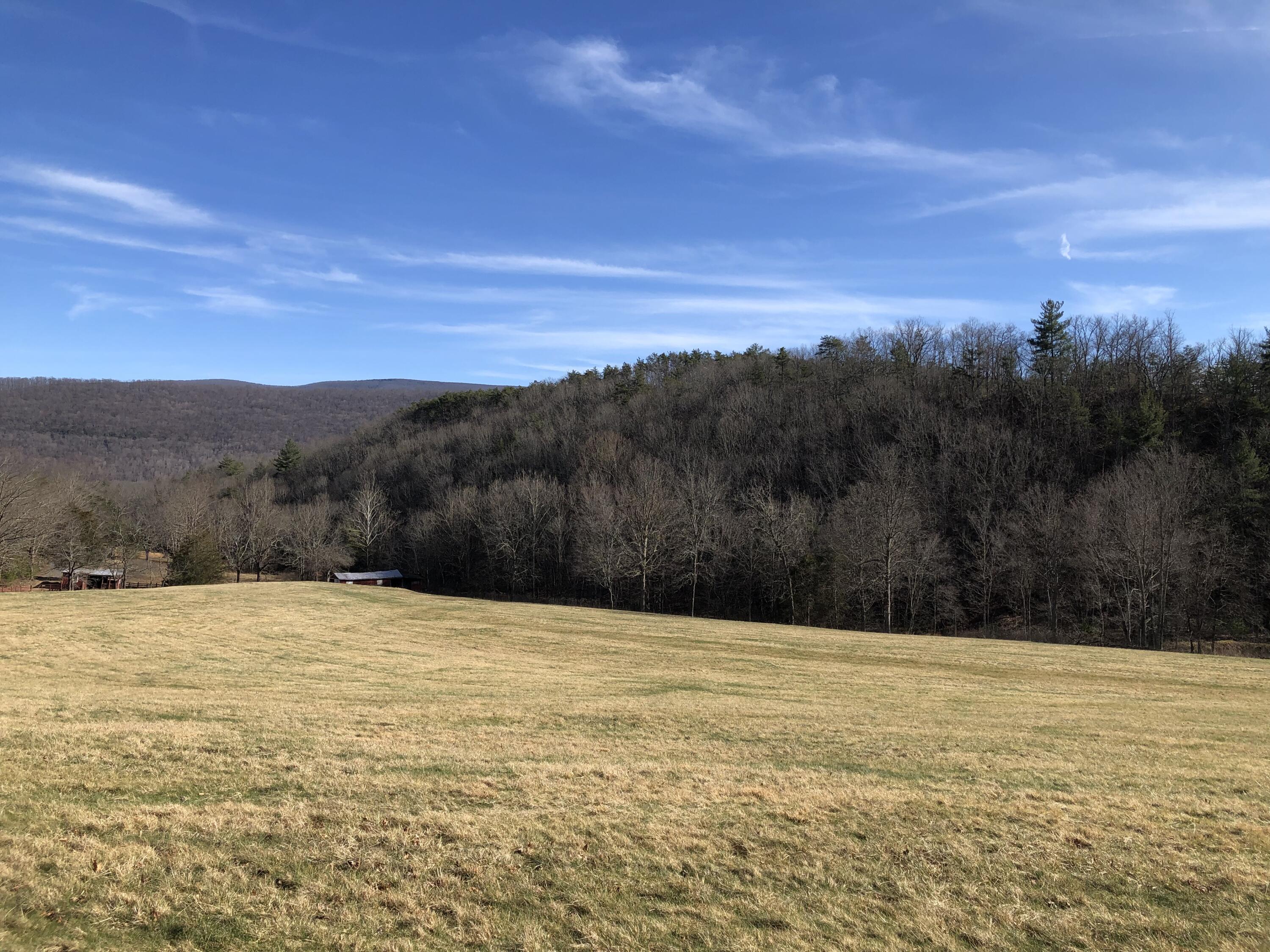 906 Wolfe Road Covington, VA 24426 - Photo 24 of 50 a view of an outdoor space