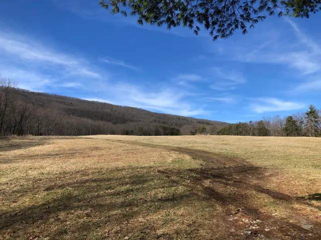 a backyard of a house