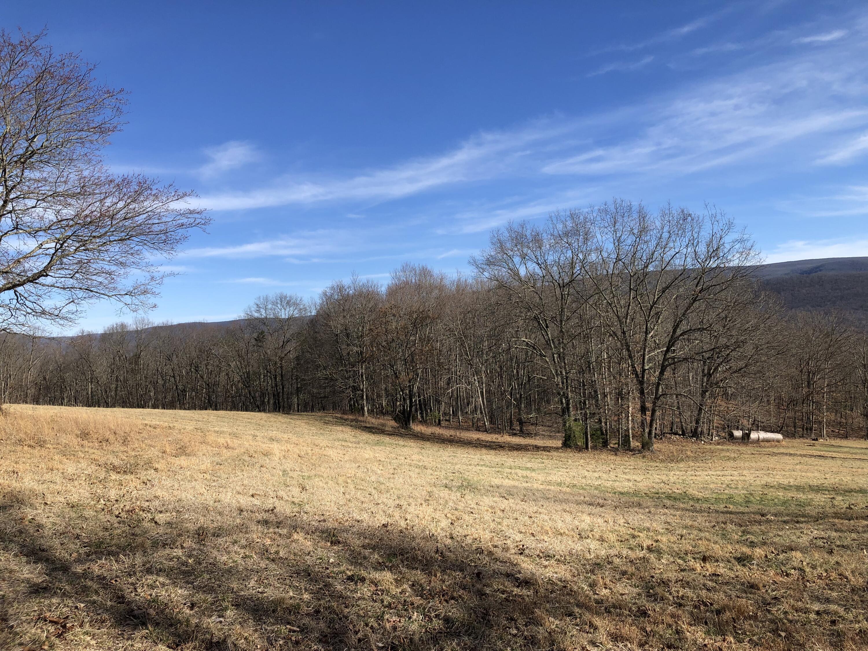 906 Wolfe Road Covington, VA 24426 - Photo 27 of 50 a view of outdoor space yard and mountain