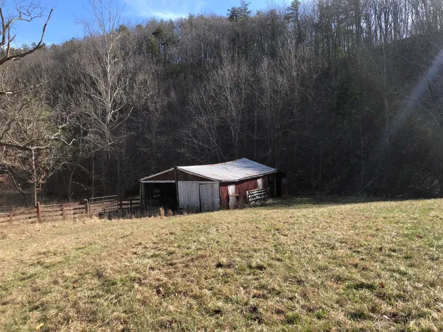 a view of a house with a yard and large tree