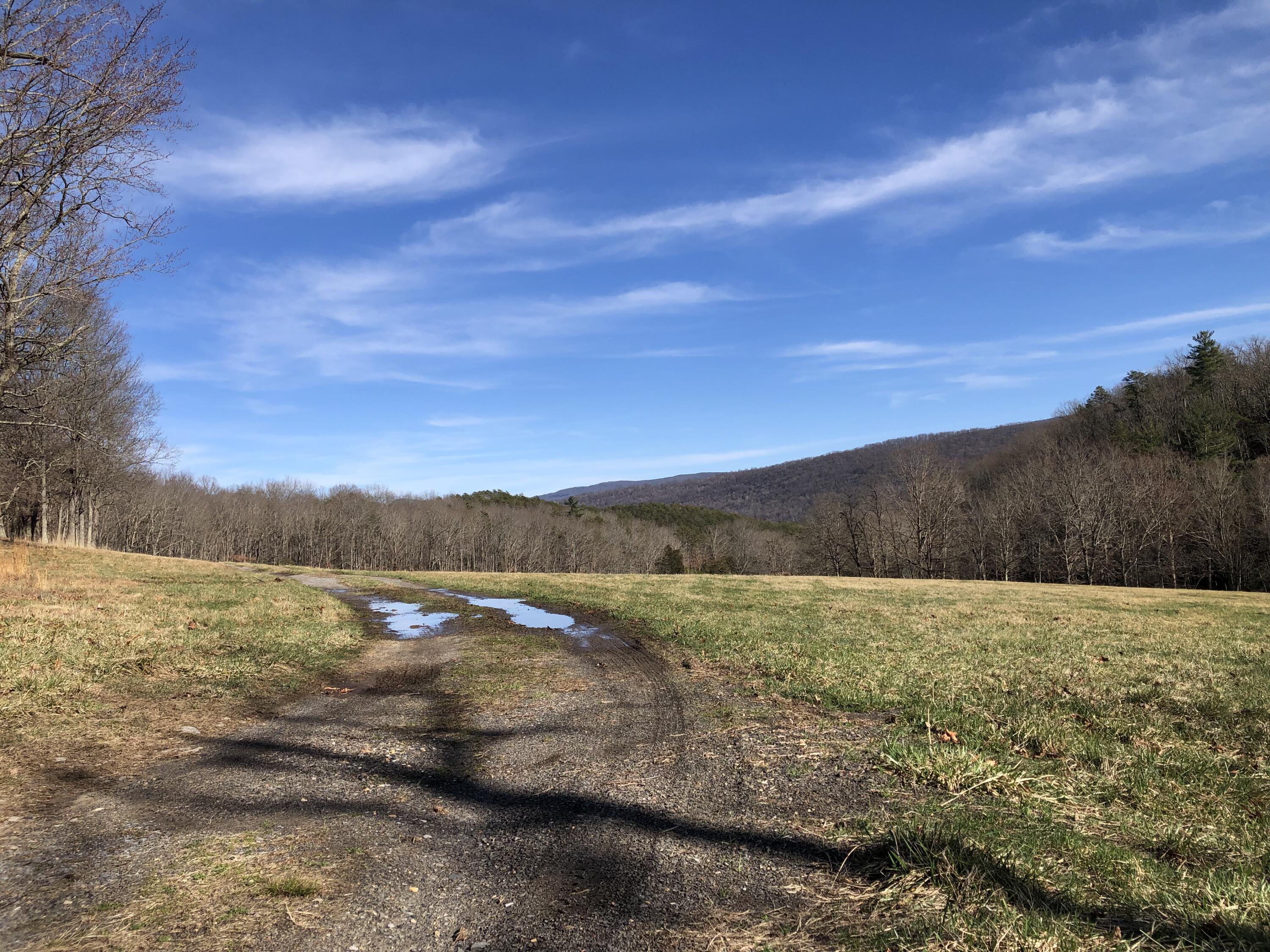 906 Wolfe Road Covington, VA 24426 - Photo 29 of 50 a view of mountain with lake view