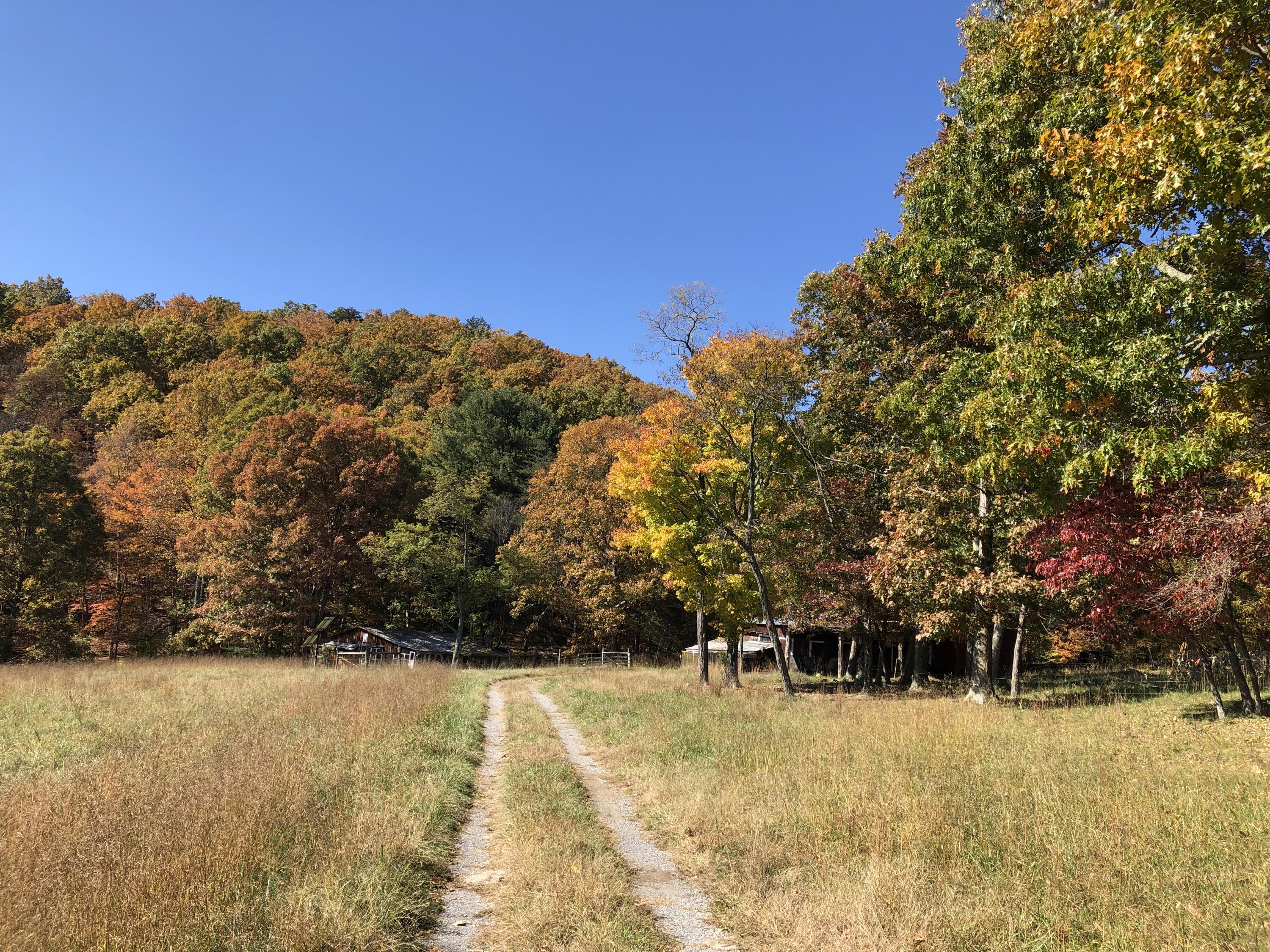 906 Wolfe Road Covington, VA 24426 - Photo 3 of 50