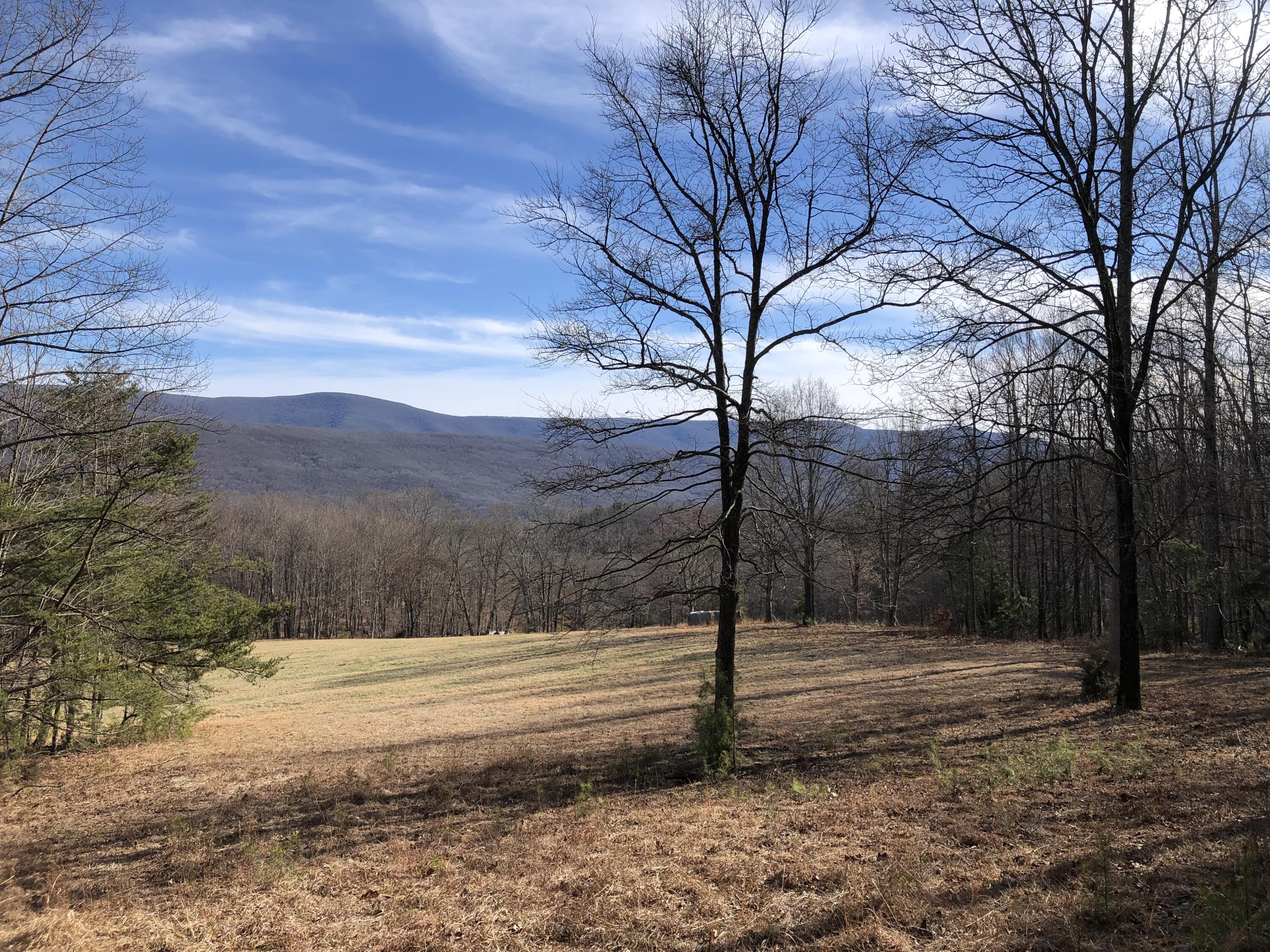 906 Wolfe Road Covington, VA 24426 - Photo 34 of 50 a view of a yard with a tree