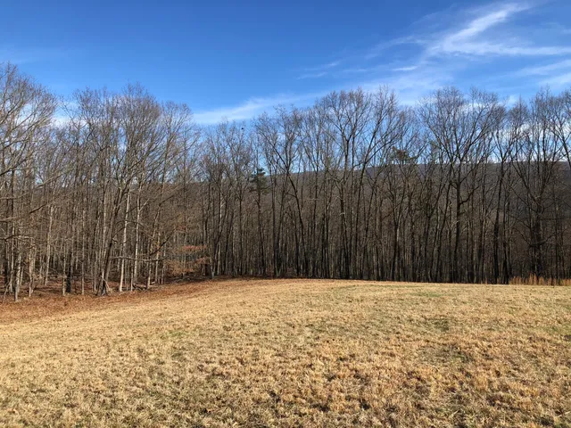 a view of outdoor space with mountain view