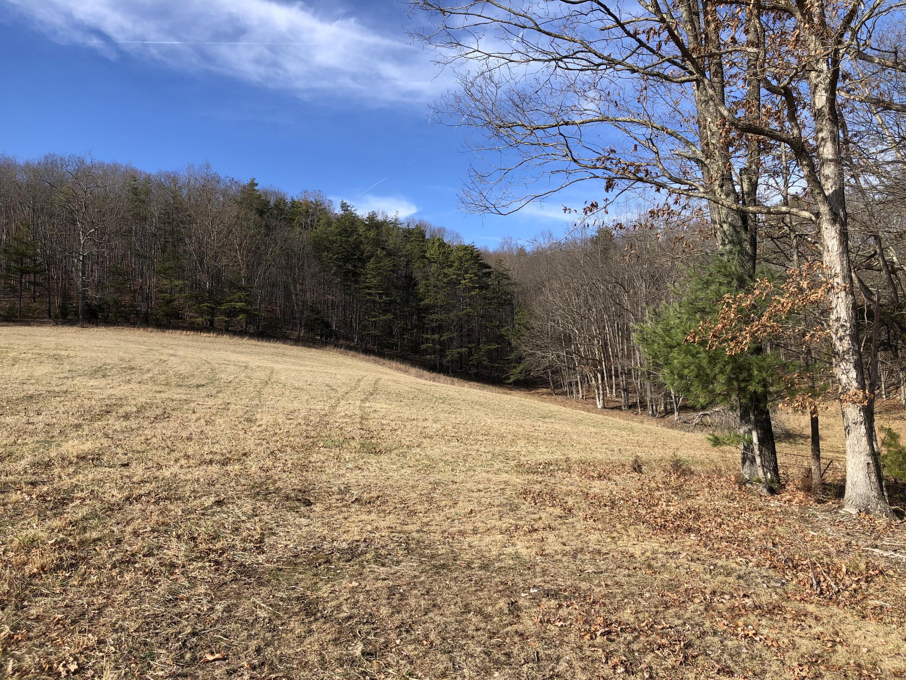 906 Wolfe Road Covington, VA 24426 - Photo 36 of 50 a view of empty space with mountain